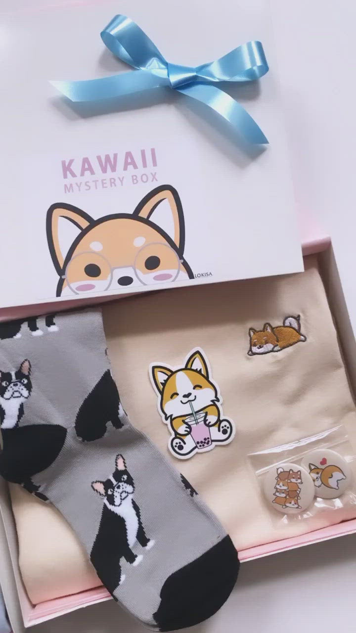 Kawaii Mystery Box - Shiba Inu