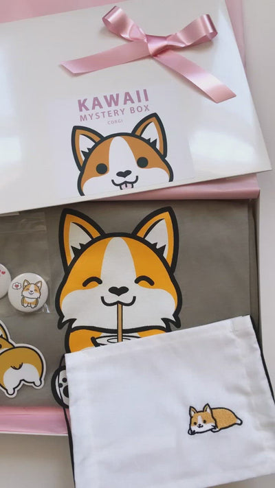 Kawaii Mystery Box - Corgi