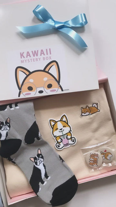 Kawaii Mystery Box - Dog