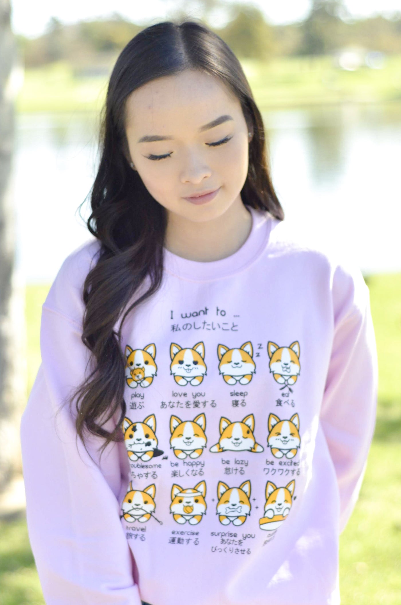 I want to... Corgi Emoticon Sweatshirt - Japanese