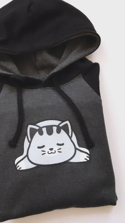 Snoozing Kitty Hoodie