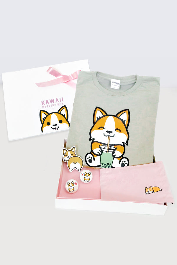 Kawaii Mystery Box - Corgi