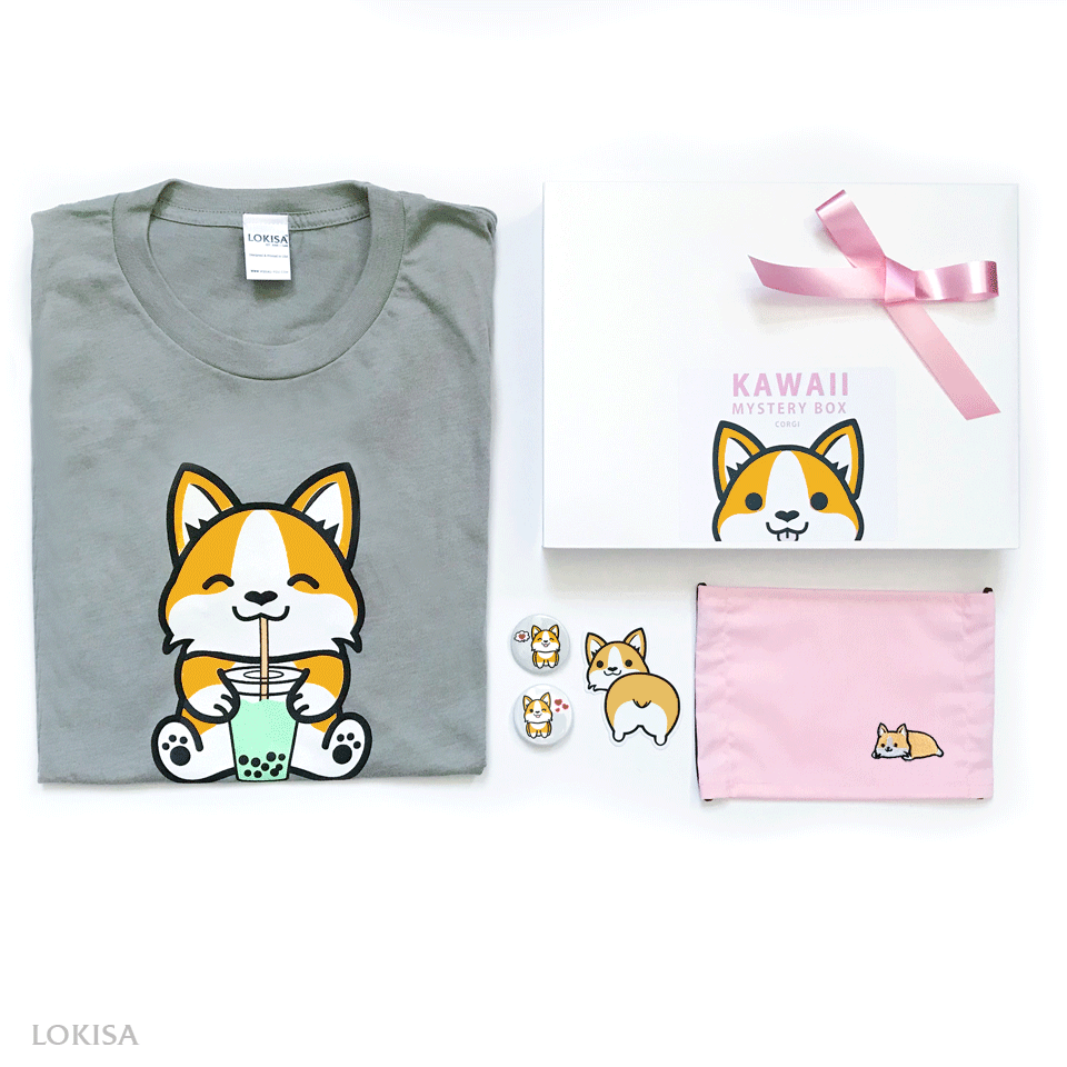 Kawaii Mystery Box - Corgi